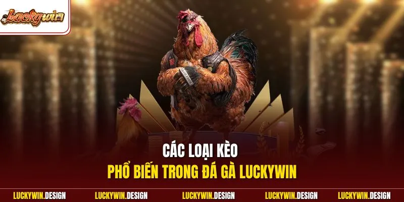 Các loại kèo phổ biến trong đá gà LUCKYWIN