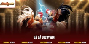 Đá gà LUCKYWIN