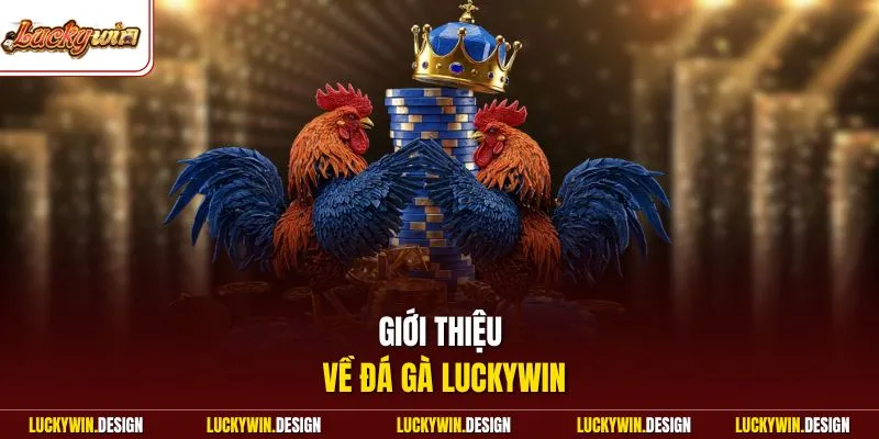 Giới thiệu về đá gà LUCKYWIN
