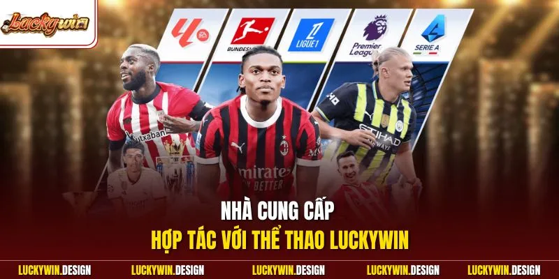 Nhà cung cấp hợp tác với thể thao LUCKYWIN