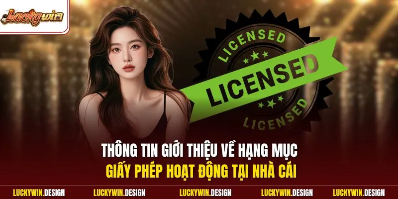 Thông tin giới thiệu về hạng mục giấy phép hoạt động tại nhà cái