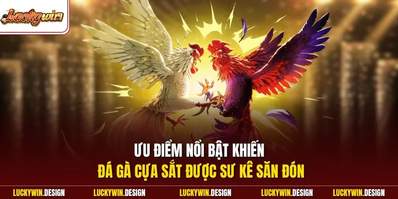 Ưu điểm nổi bật khiến đá gà cựa sắt được sư kê săn đón